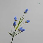 Broméliacée colorée idéale pour embellir votre espace