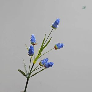 Broméliacée colorée idéale pour embellir votre espace
