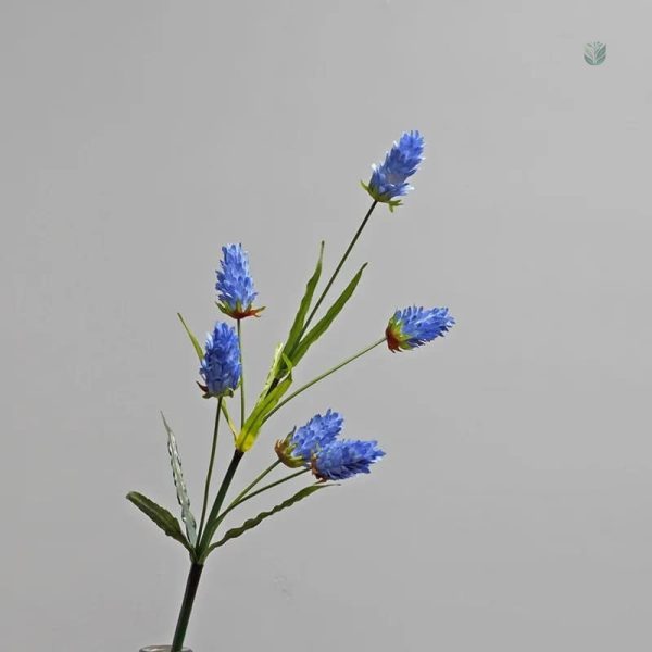 Broméliacée colorée idéale pour embellir votre espace