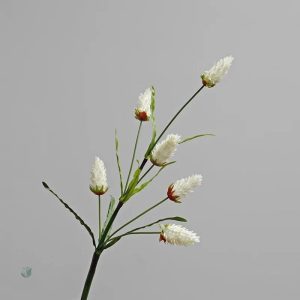 Bromélie vivante, parfaite pour un cadeau original