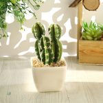 Petite plante artificielle cactus, entretien facile