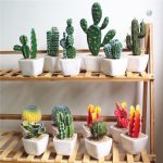 Cactus synthétique, ajout moderne pour la décoration intérieure