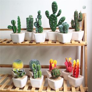 Cactus synthétique, ajout moderne pour la décoration intérieure