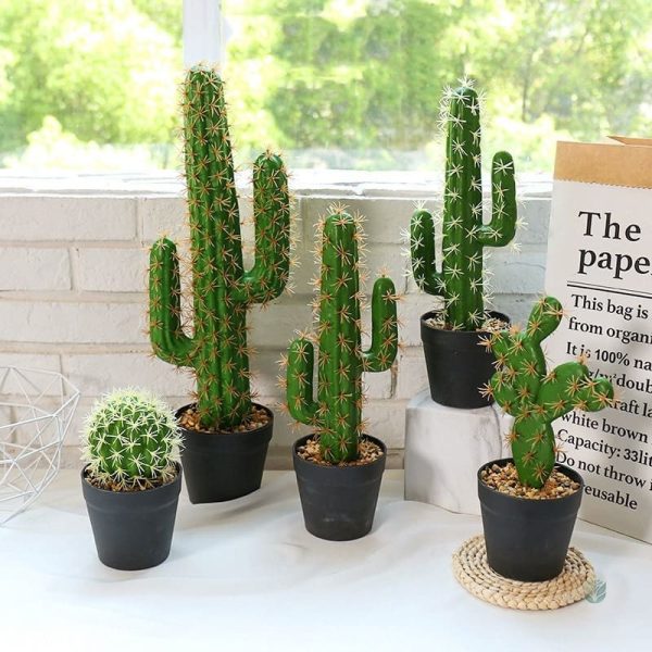 Cactus Déco Intérieur en plastique pour décoration intérieure
