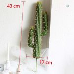 Plante décorative en cactus, parfaite pour tous les intérieurs
