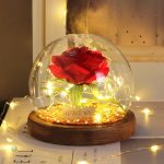 Rose Éternelle rouge, symbole d'amour durable