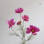 Camomille artificielle pour un style champêtre