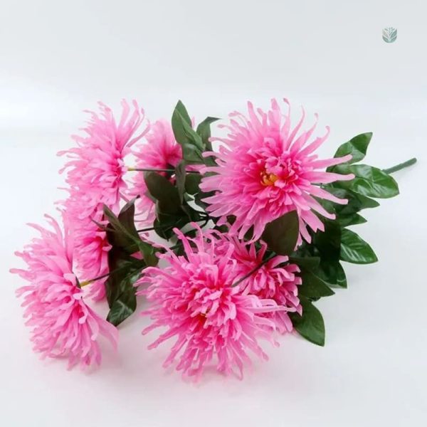 Orchidée pour décor floral durable et respectueux