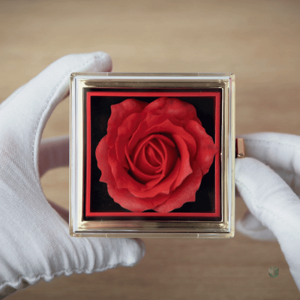 Coffret de luxe avec rose et bijou