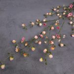 Cognassier du Japon en fleurs, branche décorative