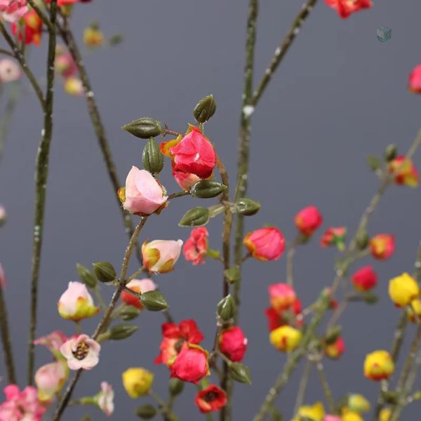 Branches de cognassier du Japon pour arrangements floraux