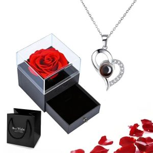 Bijou avec message d'amour en 100 langues