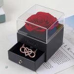 Collier Infini Saint Valentin - Rose Éternelle