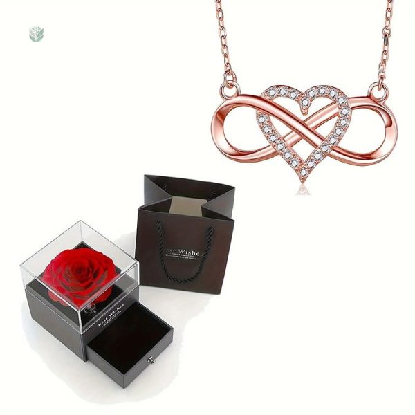 Collier élégant représentant l'infini et une rose