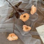 Coquelicot pour intérieur, déco vintage