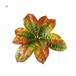 Croton Artificiel pour embellir votre espace