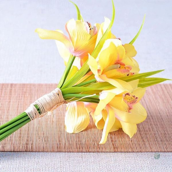Cymbidium décoratif, option florale sans entretien