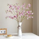 Cymbidium Floribundum en promotion pour le Cyber Monday