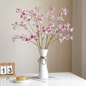 Cymbidium Floribundum en promotion pour le Cyber Monday