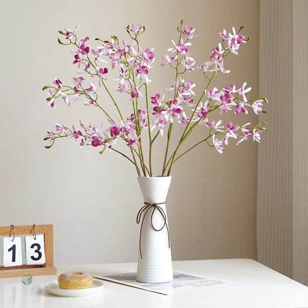 Cymbidium Floribundum en promotion pour le Cyber Monday