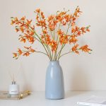 Cymbidium aux fleurs multiples, offre florale exceptionnelle