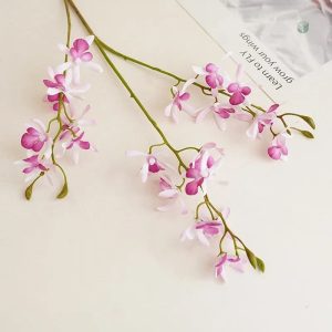Cymbidium Floribundum, plante d'intérieur élégante et colorée