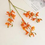 Fleurs de Cymbidium, symbole d'élégance et de beauté
