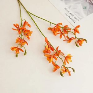 Fleurs de Cymbidium, symbole d'élégance et de beauté