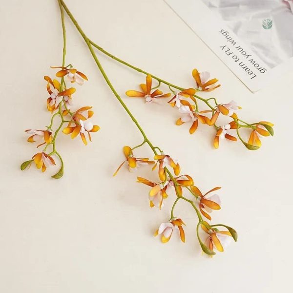 Cymbidium, variété florale prisée pour sa longévité