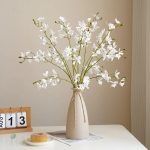 Cymbidium Floribundum, idéal pour embellir votre intérieur