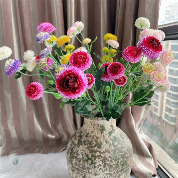 Dahlia Pompon en promotion pour le Cyber Monday