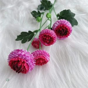 Fleurs de Dahlia Pompon pour bouquets festifs