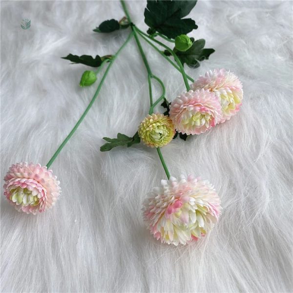Dahlia Pompon, une touche florale pour vos événements