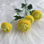 Dahlia Pompon, parfait pour arrangements floraux