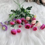 Dahlia Pompon, fleur idéal pour cadeaux et occasions