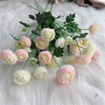 Dahlia Pompon, élégance florale pour célébrations