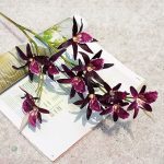 Dendrobium : orchidée exotique pour embellir votre espace