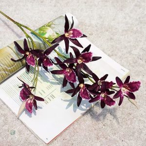 Dendrobium : orchidée exotique pour embellir votre espace