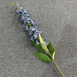 Fleurs digitales artificielles pour événements