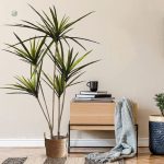 Plante artificielle Dracaena Marginata pour intérieur