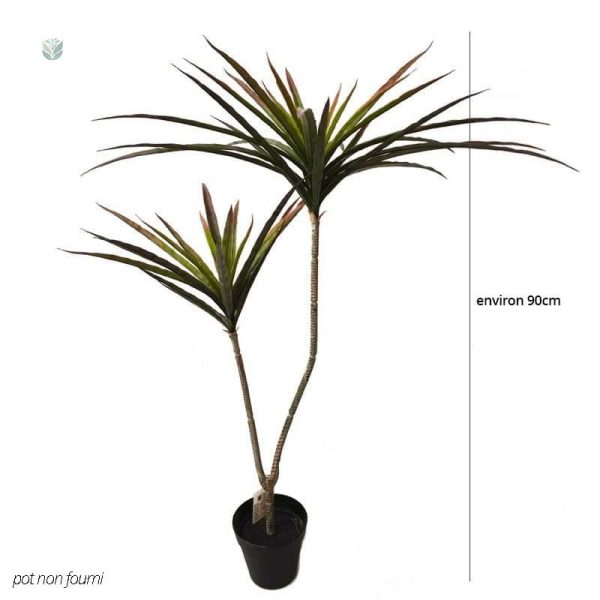 Aspect luxuriant de la Dracaena Marginata synthétique