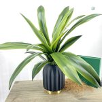 Dracaena plante artificielle en pot décoratif