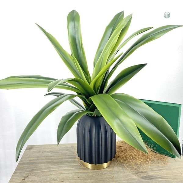 Dracaena plante artificielle en pot décoratif