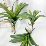Faux Dracaena, accessoire déco pratique et esthétique