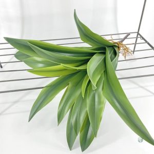 Plante Dracaena verte pour intérieur moderne