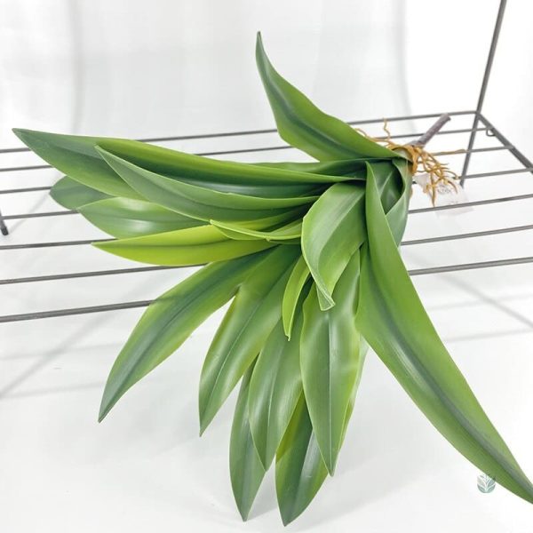 Plante Dracaena verte pour intérieur moderne