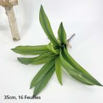 Faux Dracaena, ajout de verdure sans entretien