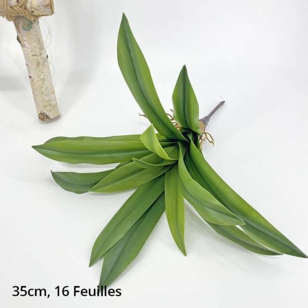 Faux Dracaena, ajout de verdure sans entretien