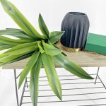 Décoration intérieure avec Dracaena en plastique