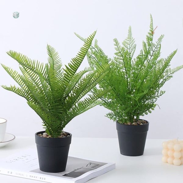 Dryopteris Affinis - plante verte artificielle